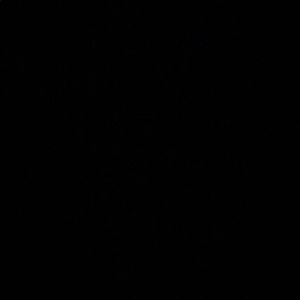 Meet your Posher, Timeka